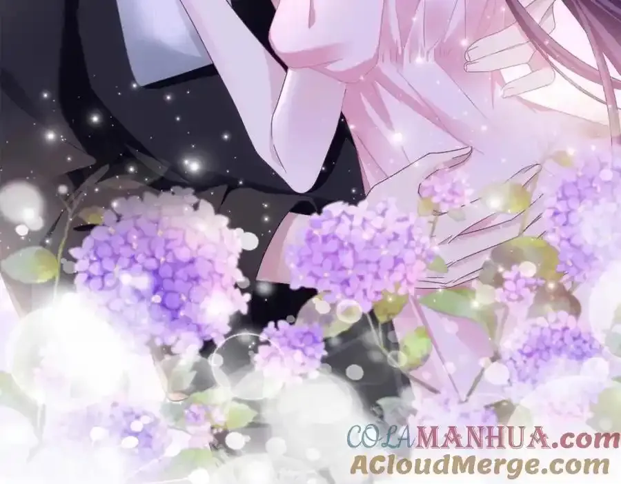 213 我们的婚礼 第81页