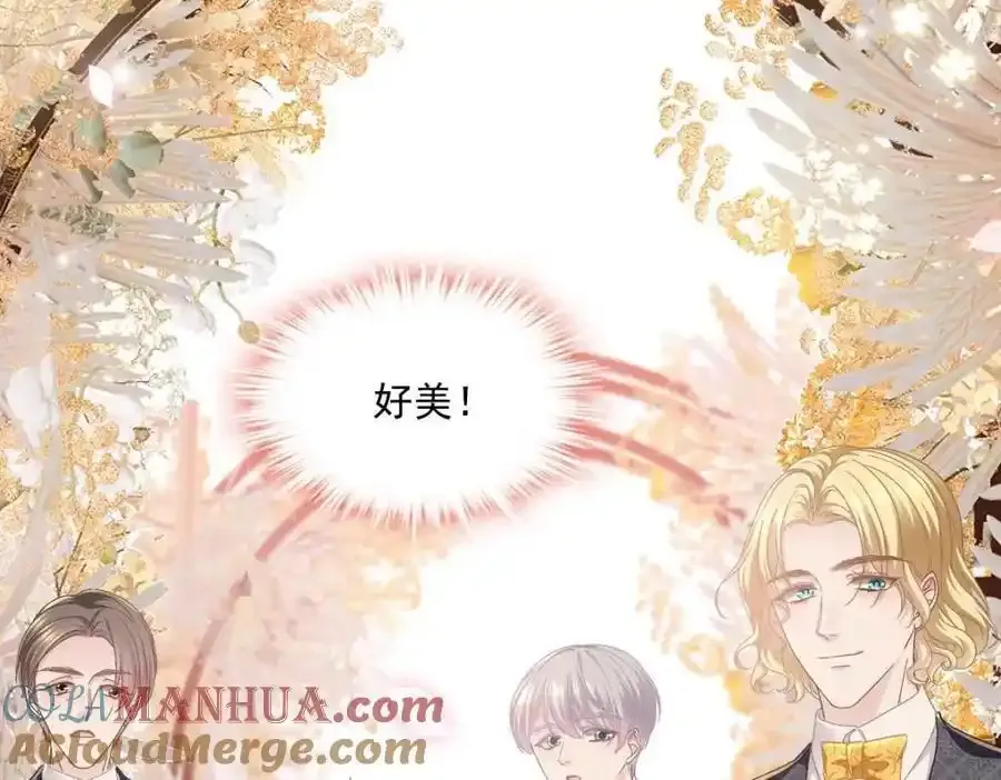 213 我们的婚礼 第93页