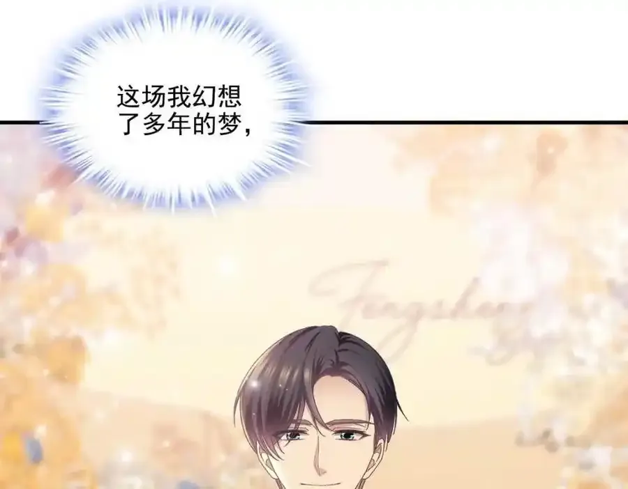 213 我们的婚礼 第96页