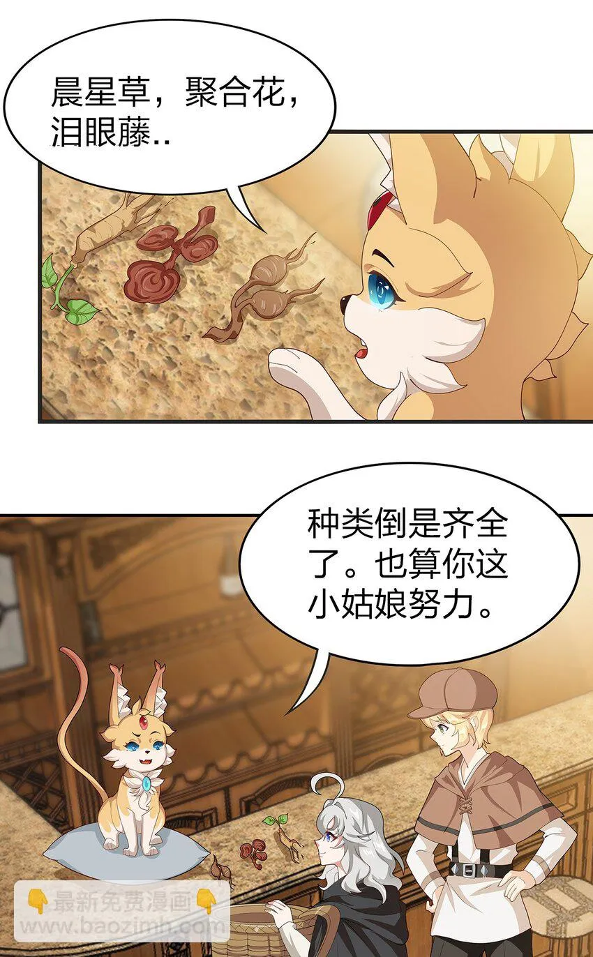 022 炼金术 第2页