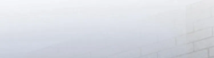 第46话 用刑 第14页