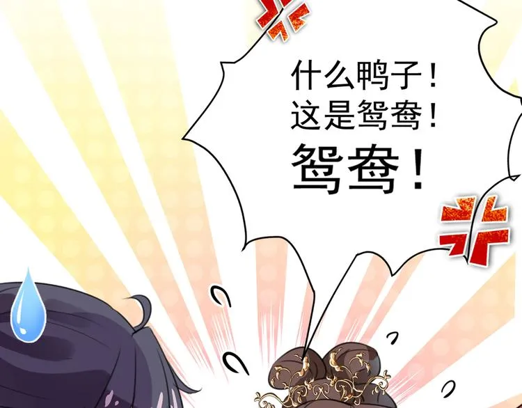 第206话 鸭子浮绿水 第82页