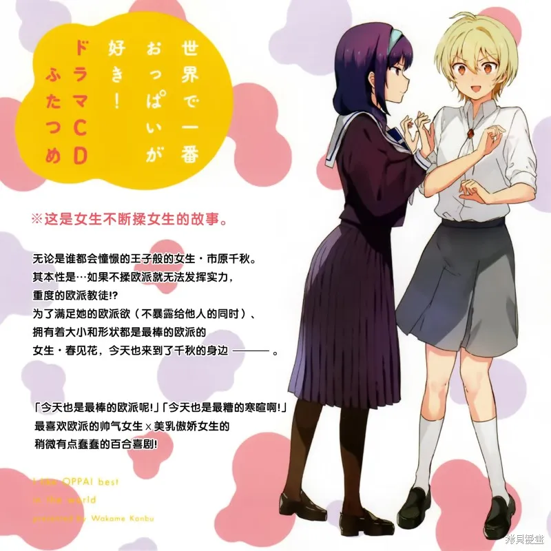 CD2 第2页