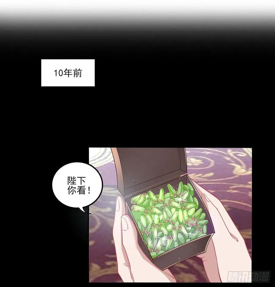 65话 聚灵草竟是母妃的？ 第51页