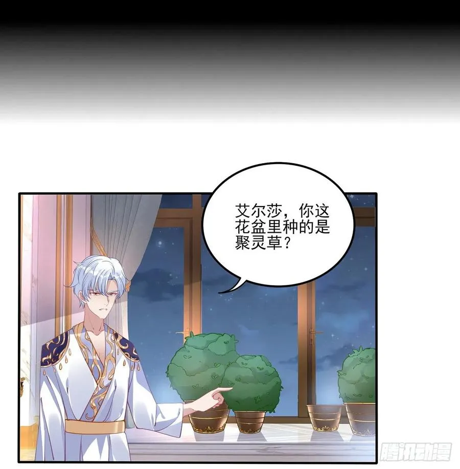 65话 聚灵草竟是母妃的？ 第59页