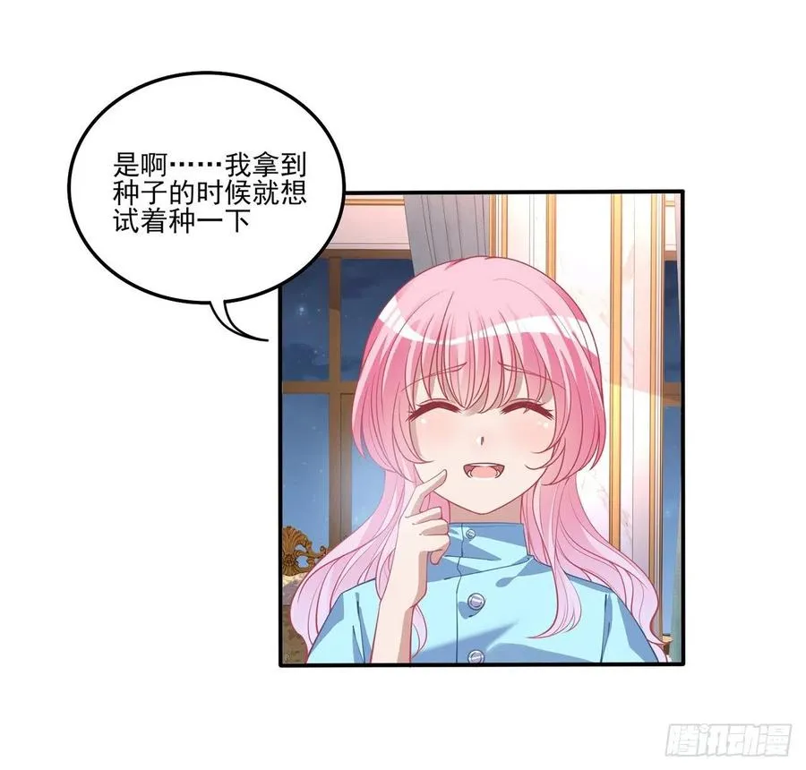 65话 聚灵草竟是母妃的？ 第60页