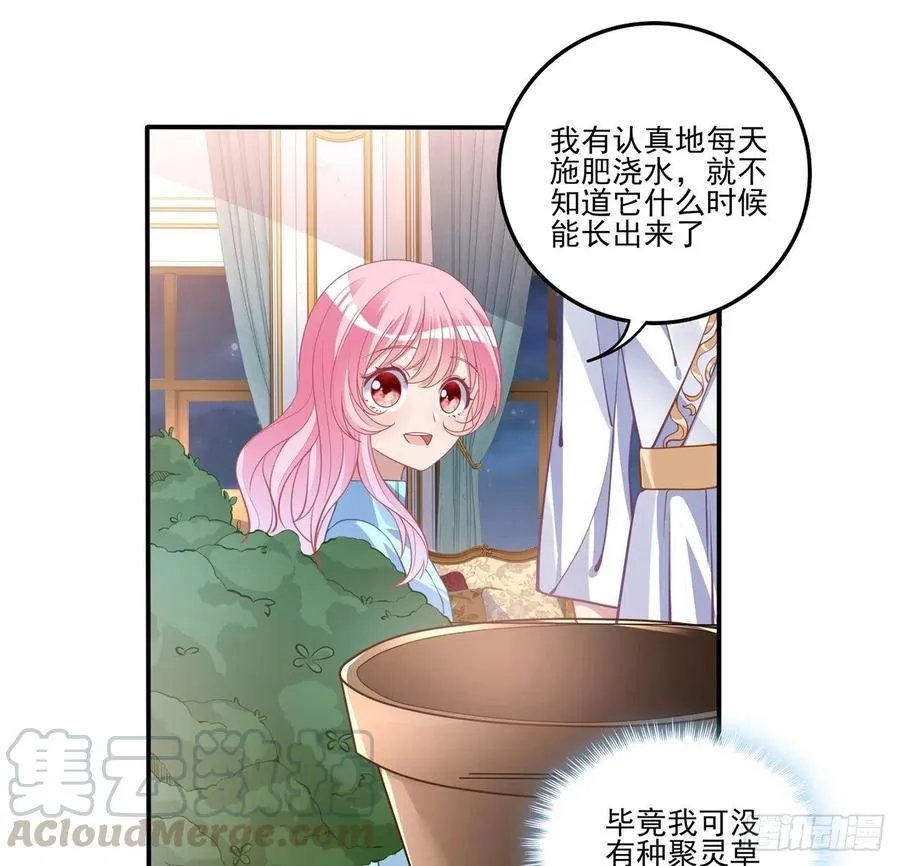 65话 聚灵草竟是母妃的？ 第61页