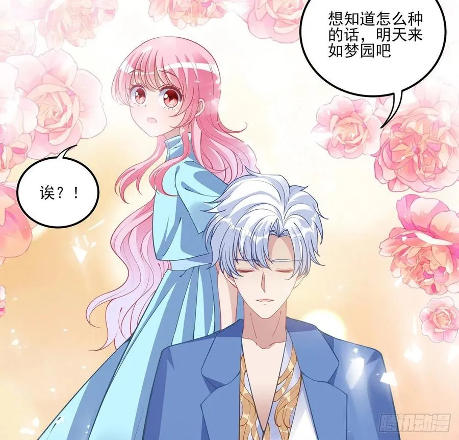65话 聚灵草竟是母妃的？ 第63页