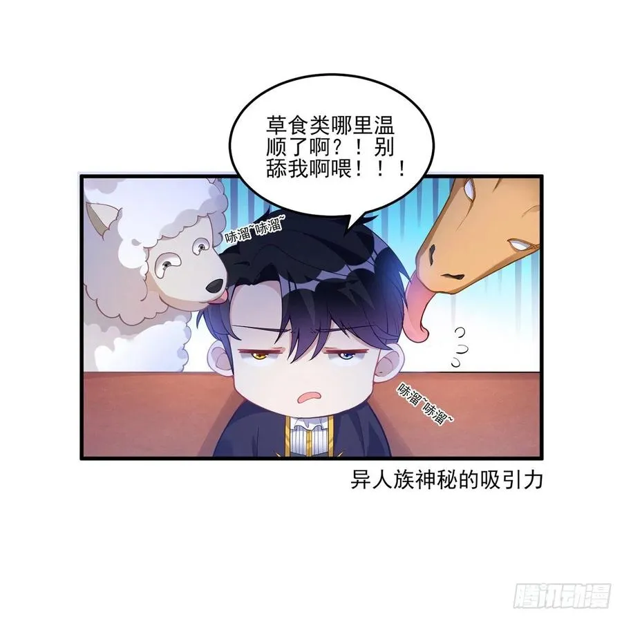 77话 壕无人性的安琪拉 第41页
