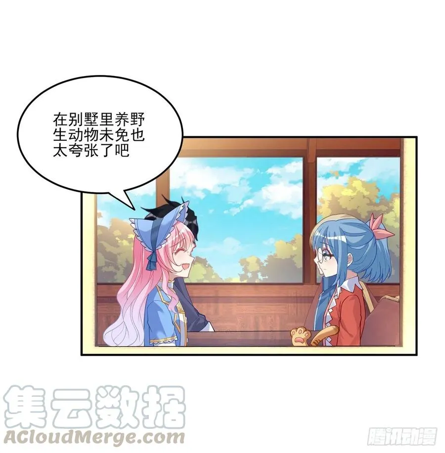 77话 壕无人性的安琪拉 第43页