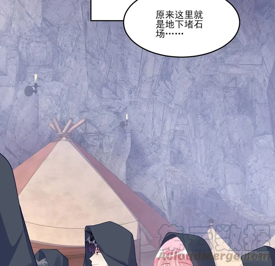 121话 比起魔石你更重要 第13页