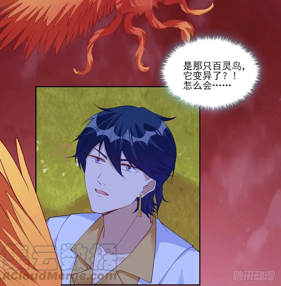 132话 异变的妖兽 第43页