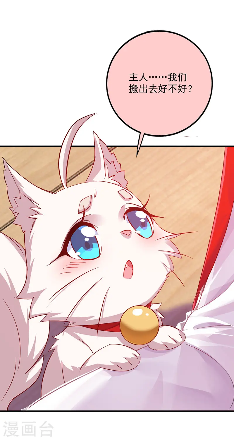 第50话 小猫化虎 第1页