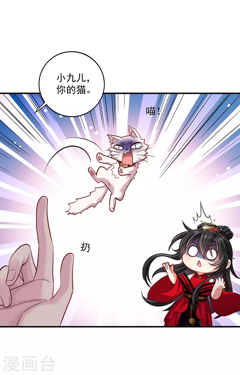 第48话 烂脸 第5页