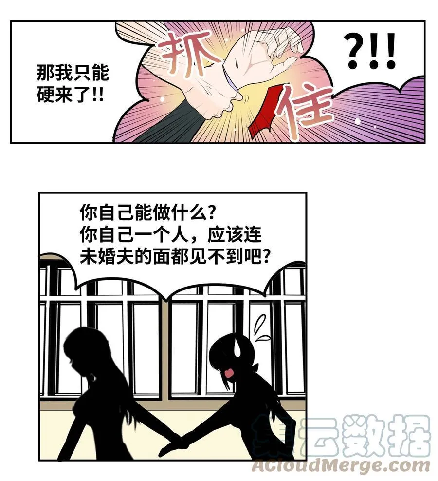 086 正式继承人 第19页