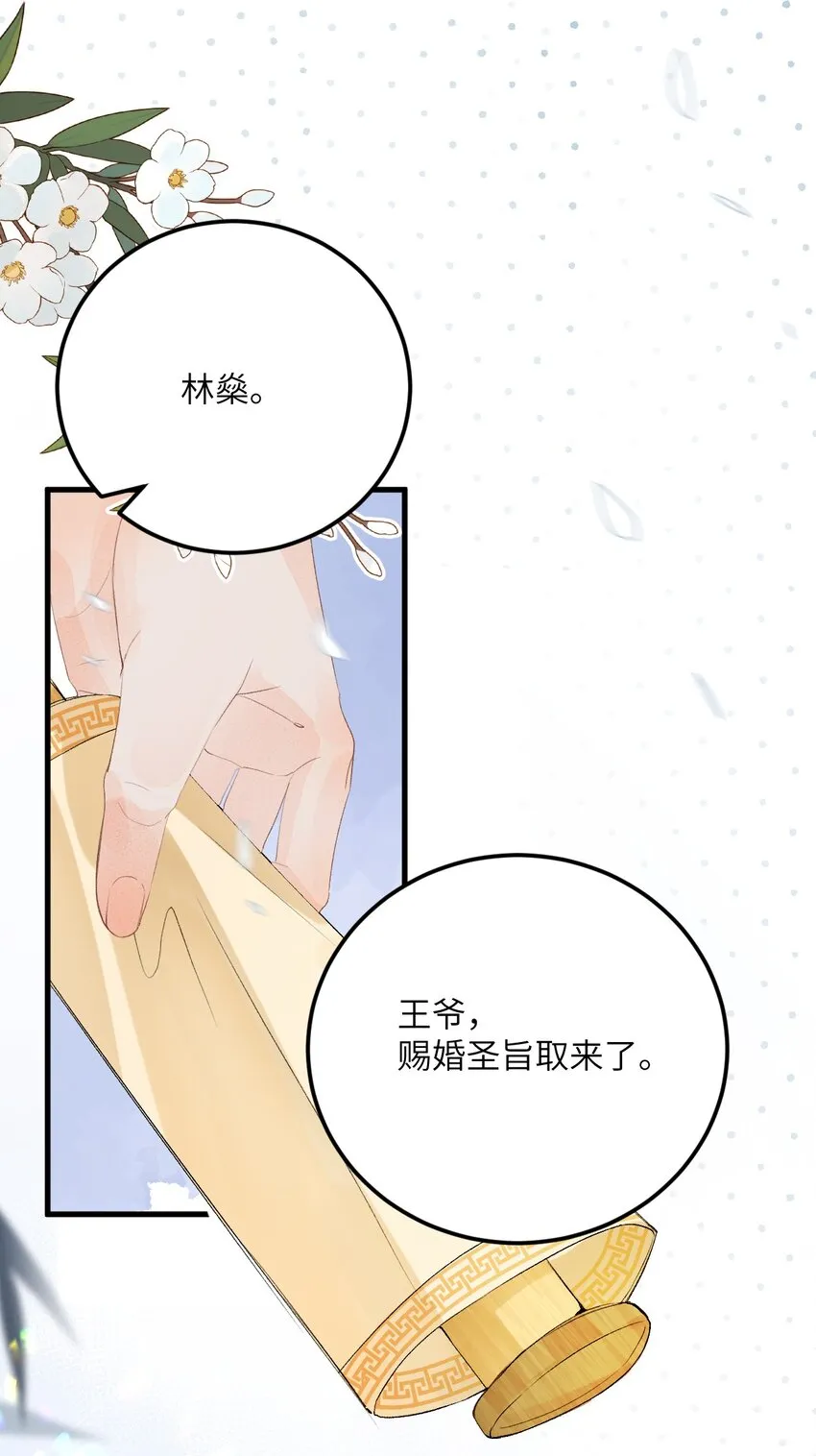 045 谁说他不是本王的王妃 第28页