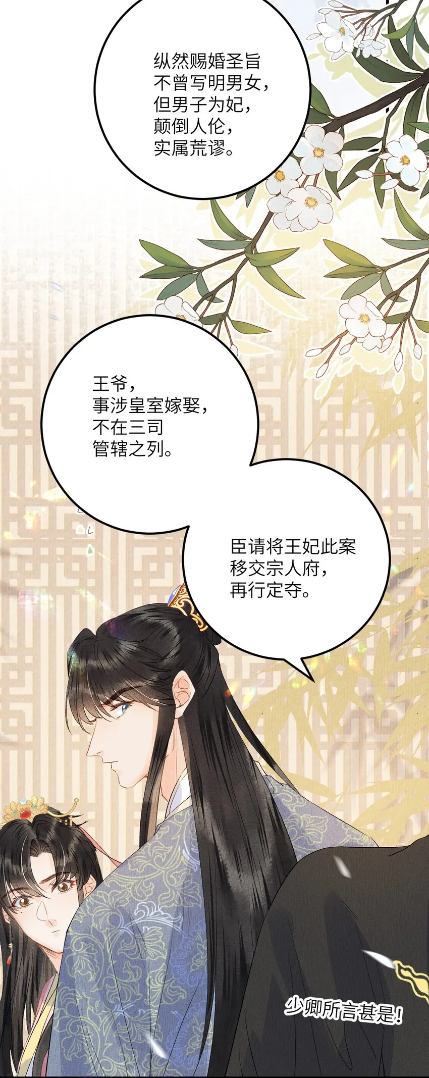 045 谁说他不是本王的王妃 第33页