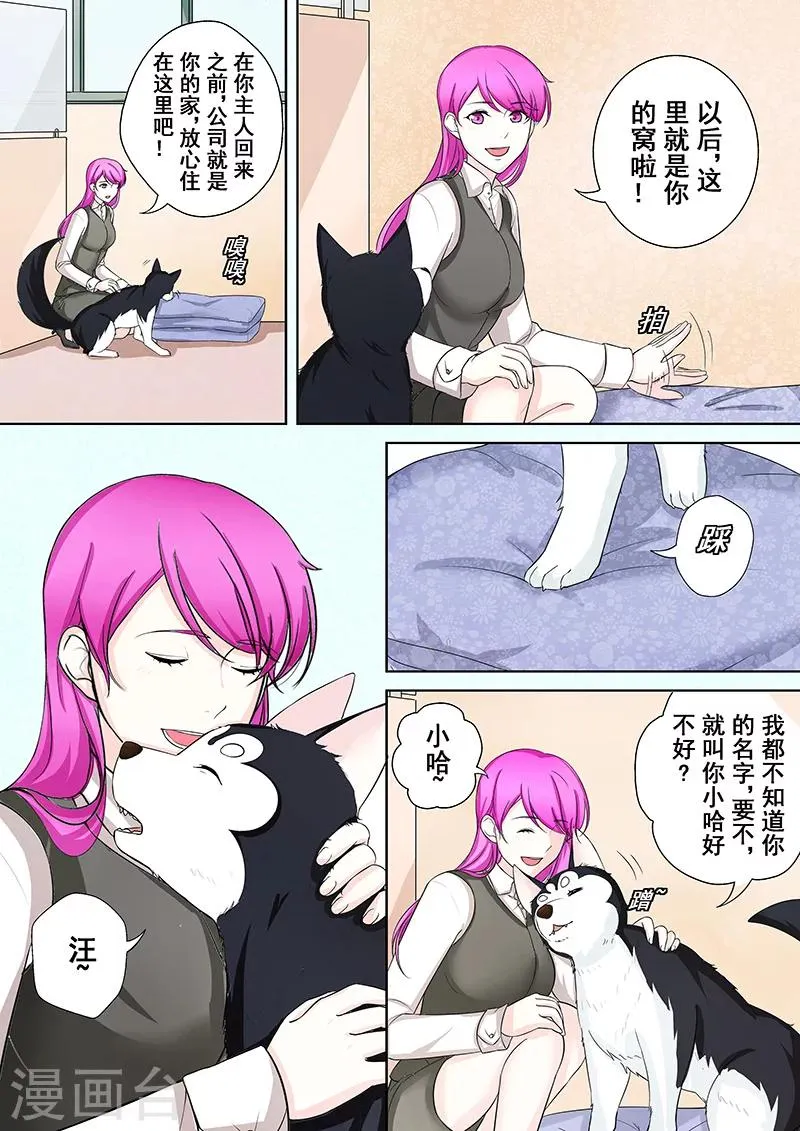 第5话 我不是二哈 第20页