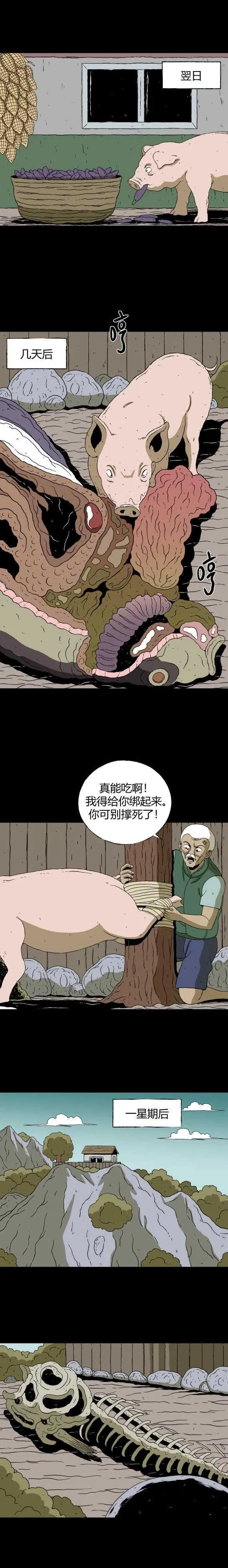 第五十六话 老人与虫 第6页