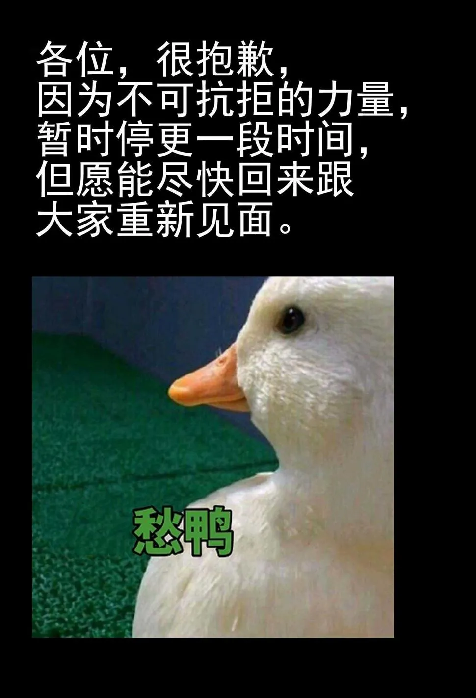第三十四话 寄生前夜6 第13页