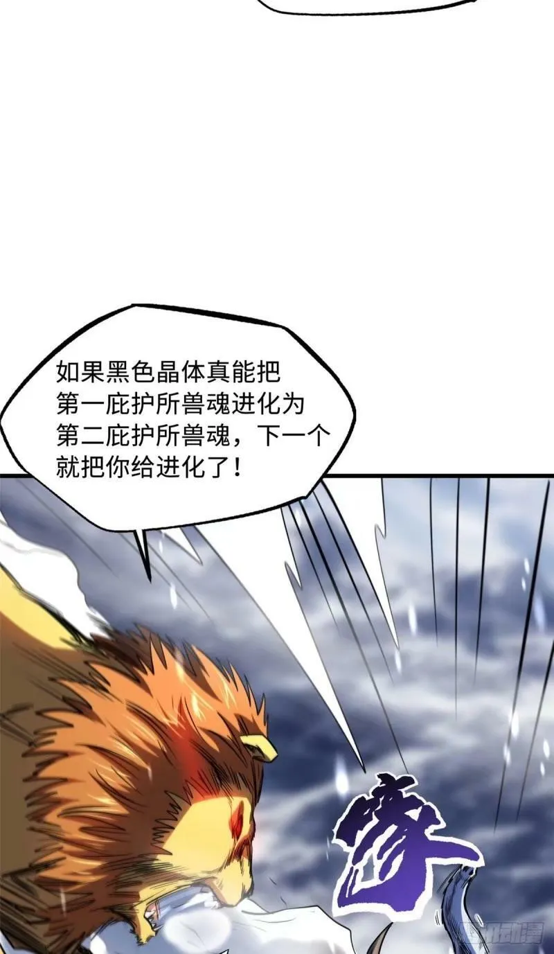 142 女神军团首胜 第20页