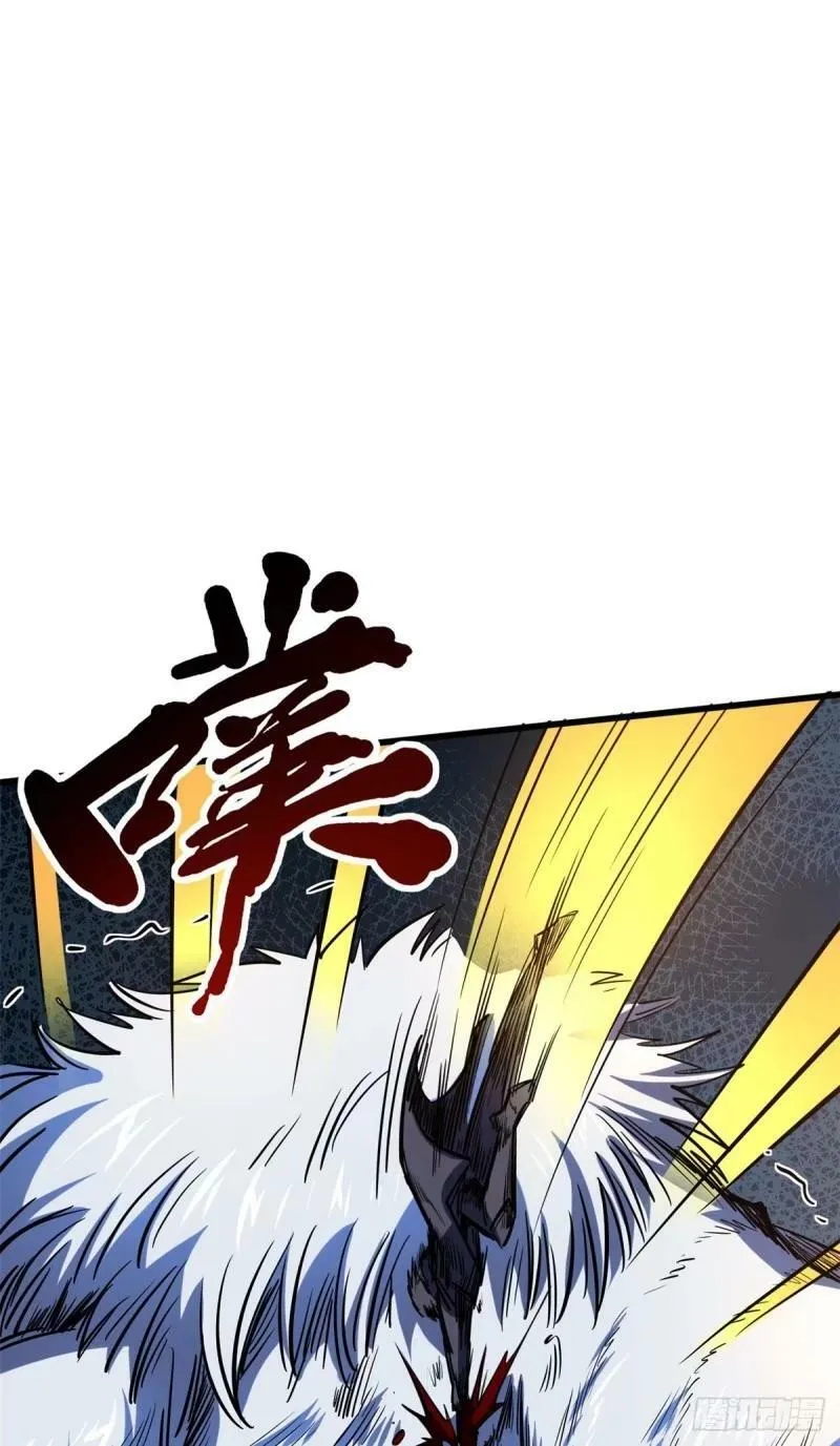 142 女神军团首胜 第24页