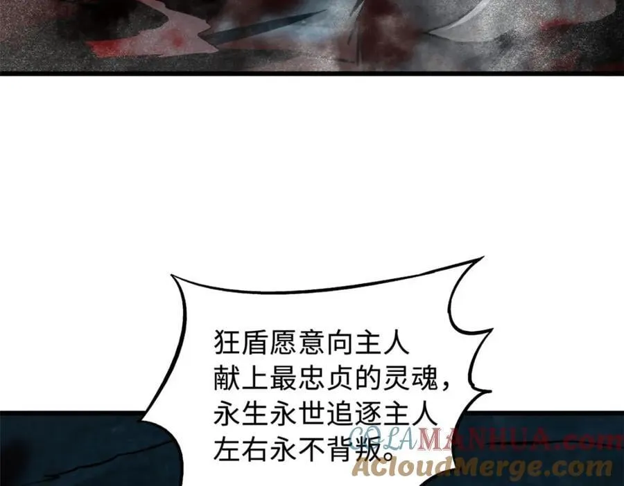 171 异灵狂盾 第33页