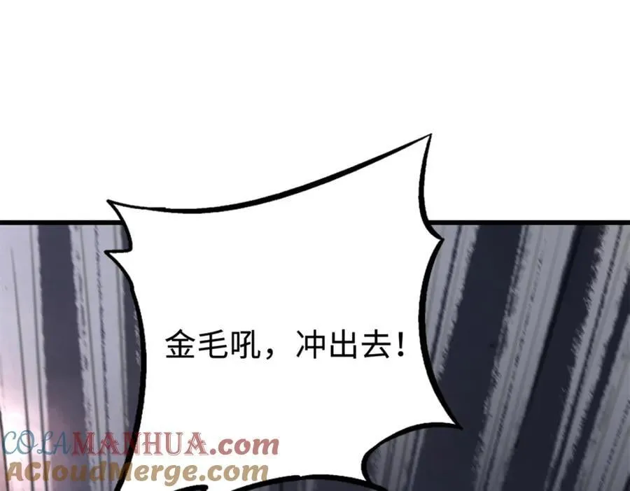 175 双生异灵！ 第97页