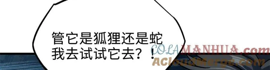 186 卵生狐狸 第17页