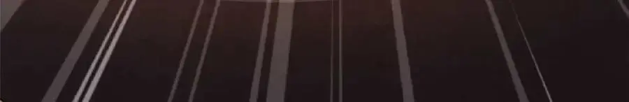 196 舍身一击 第110页