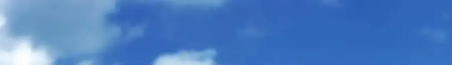 207 七叶莲花 第138页
