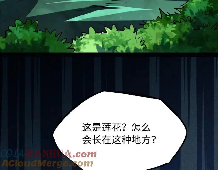 207 七叶莲花 第157页