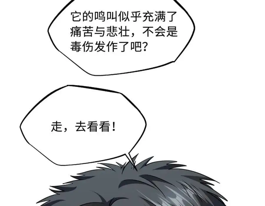 211 不期而遇的珍宝 第72页