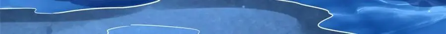 211 不期而遇的珍宝 第77页