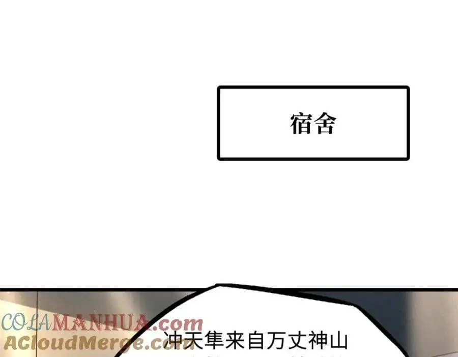 213 冥眼孔雀兽魂 第117页