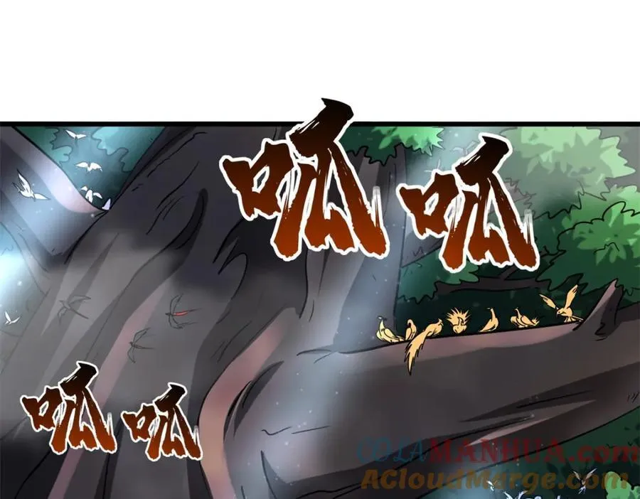 216 冲天隼王 第53页