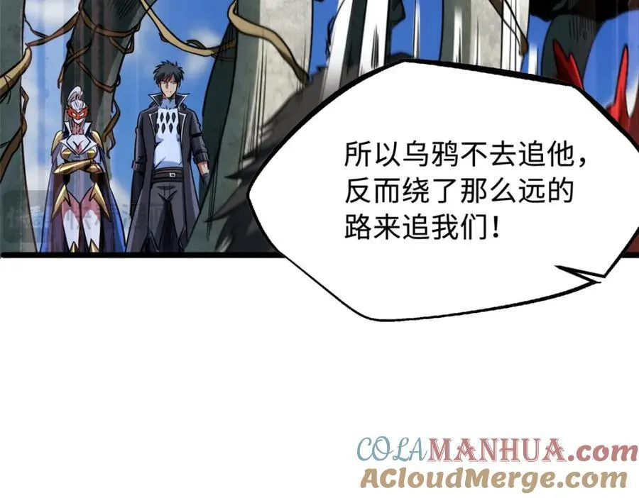 219 乌鸦宝具 第13页