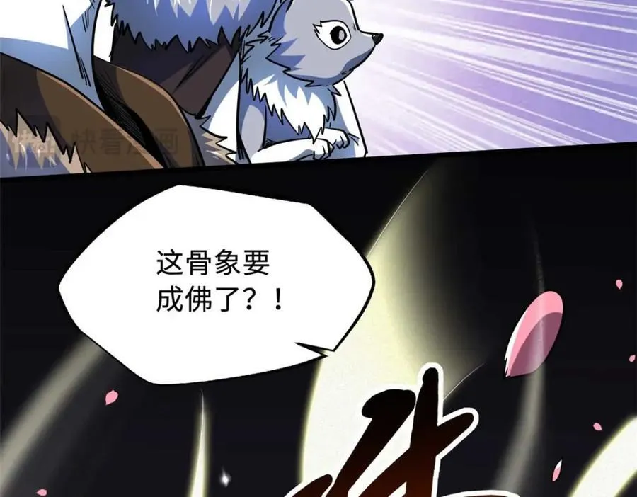 230 桃花圣树 第22页