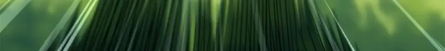 231 狼王 第109页