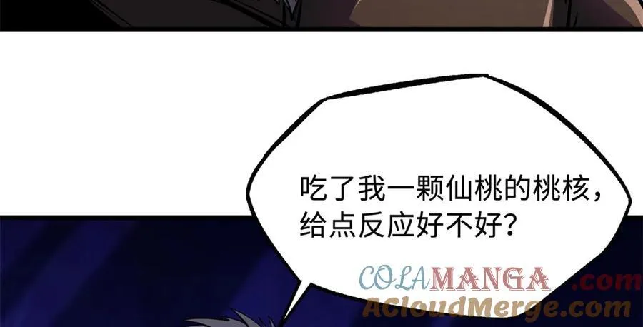 248 Z钢原石 第13页