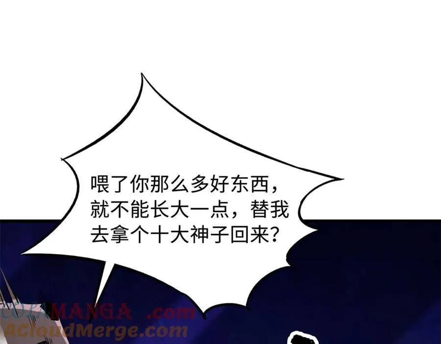 248 Z钢原石 第17页