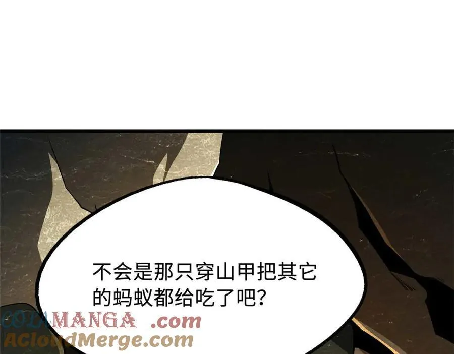 250 蚁巢 第105页