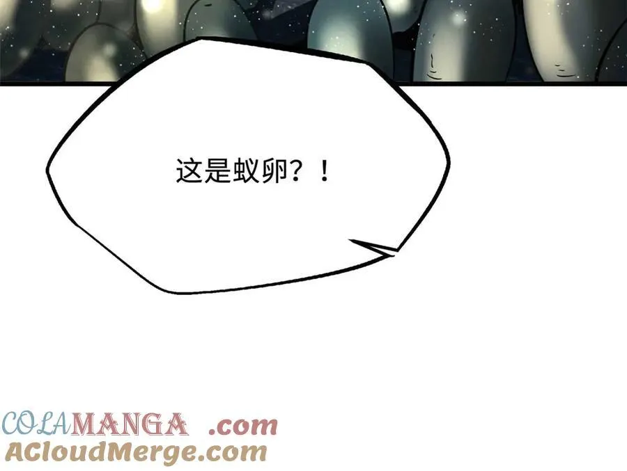 250 蚁巢 第137页