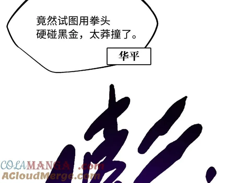 253 一拳轰碎 第89页