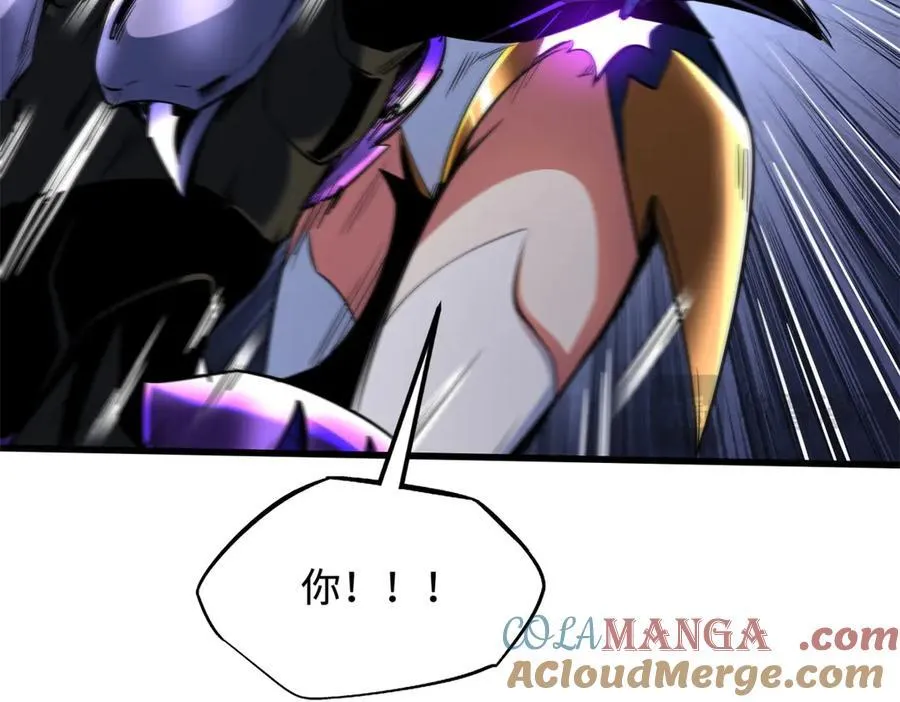 255 王的宣言 第141页