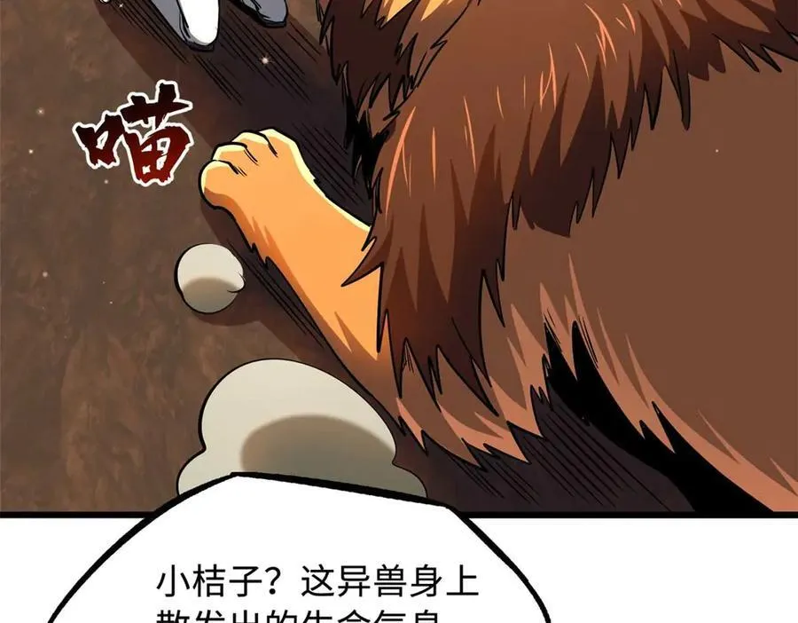272 小桔子 第64页