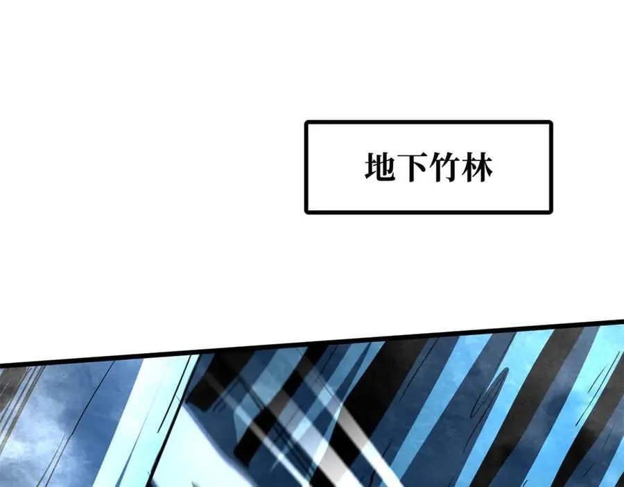 284 启程！ 第51页
