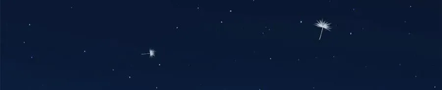 286 吸血角蚊 第11页