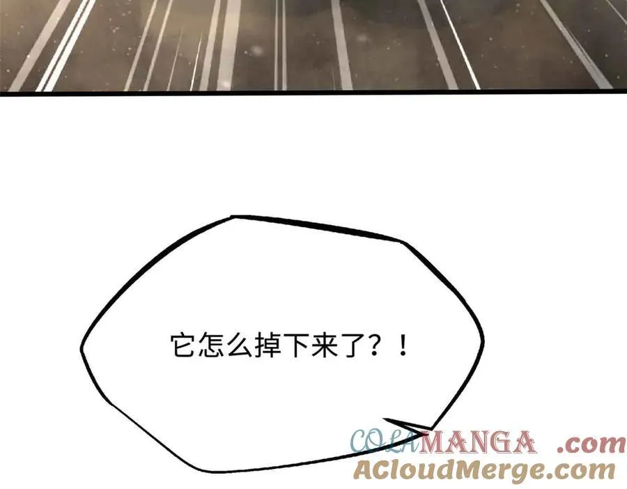 288 重生的白犀牛 第93页
