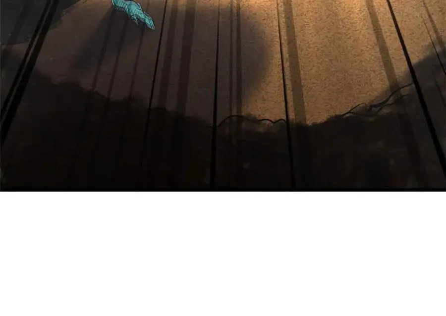 288 重生的白犀牛 第152页